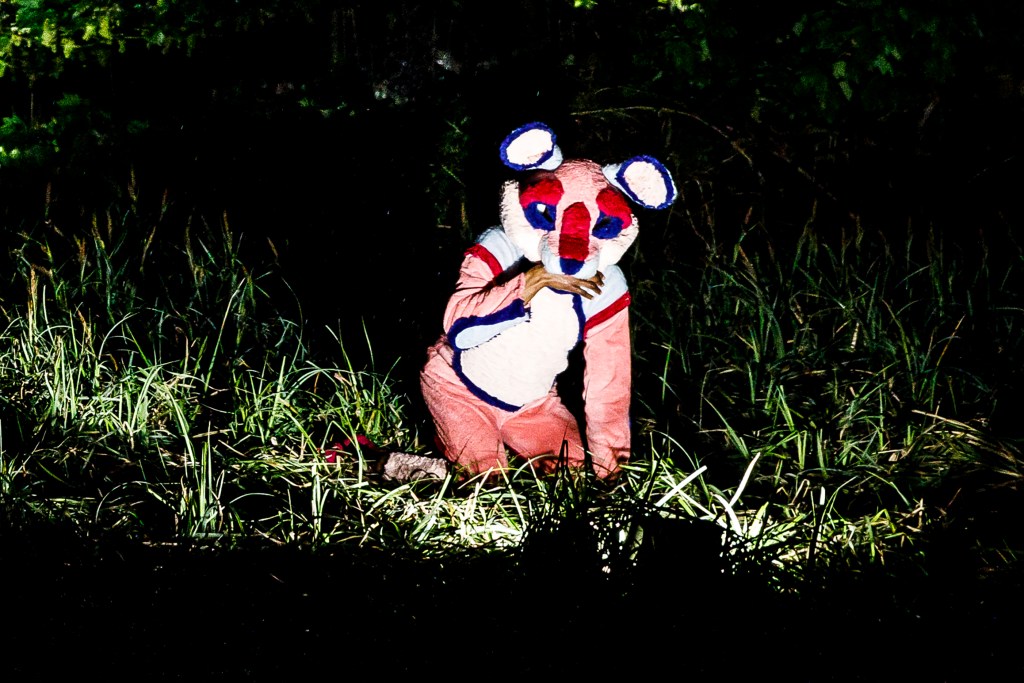 MIDSUMMER NIGHT’S DREAM